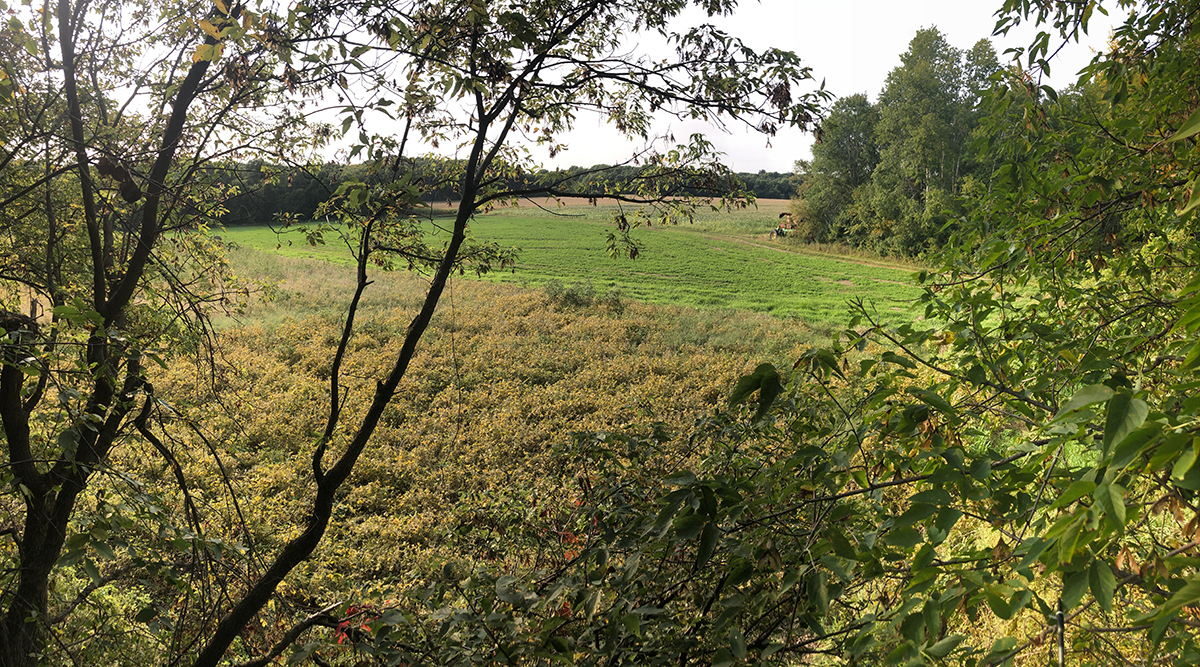 Stand setups for early season deer.