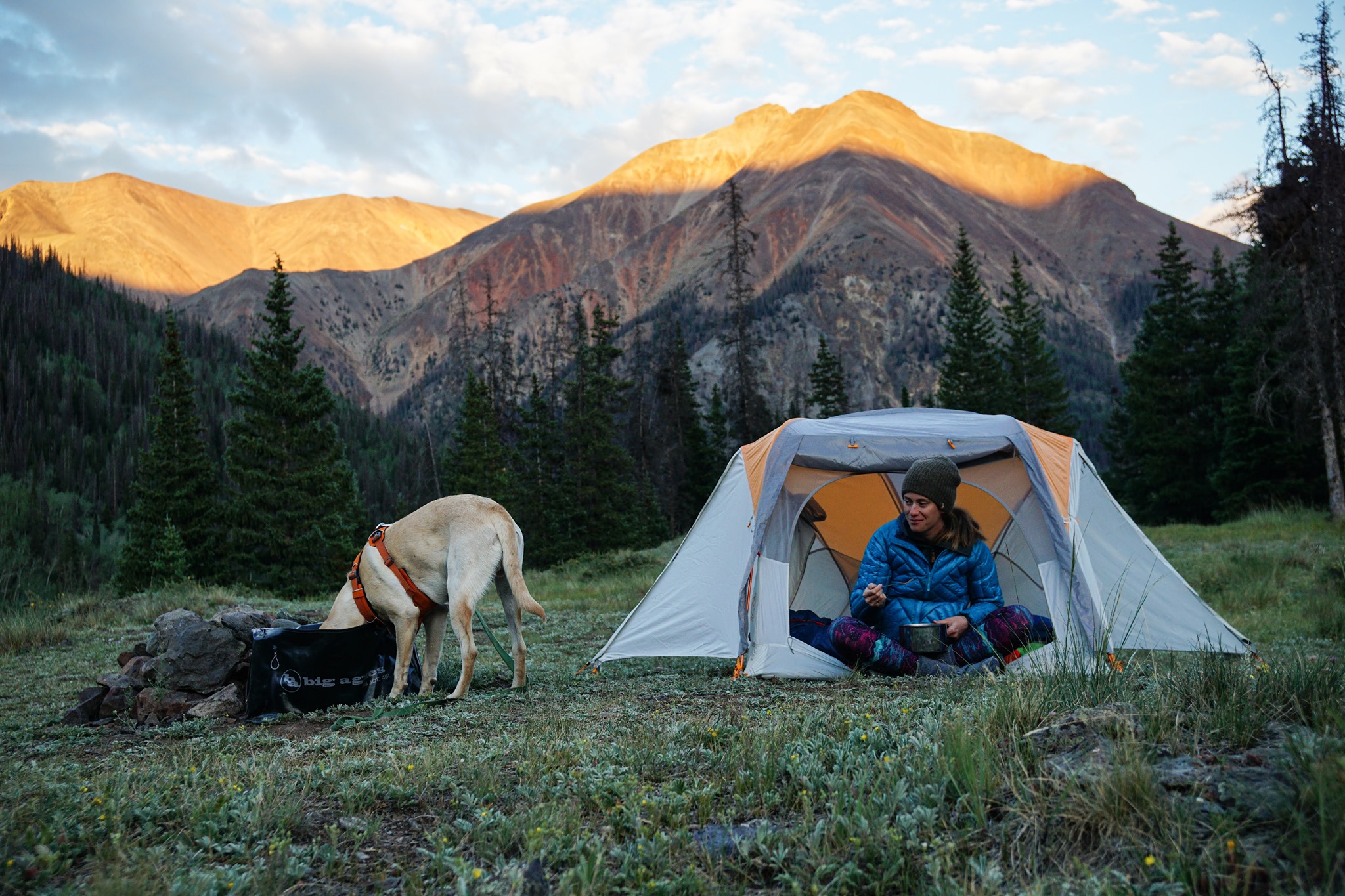 The Best Dog Crates for Car Travel 2024 - Long Haul Trekkers