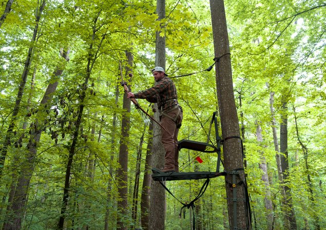 The Best Tree Stands, Tested and Reviewed