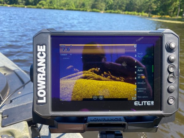  Lowrance Elite FS 7 down imaging brush pile