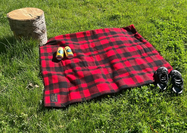 The 8 Best Picnic Blankets of 2023, Tested & Reviewed