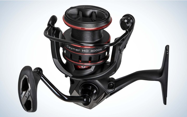 The 30 Best Pink Fishing Reels of 2024 [Verified] - Cherry Picks