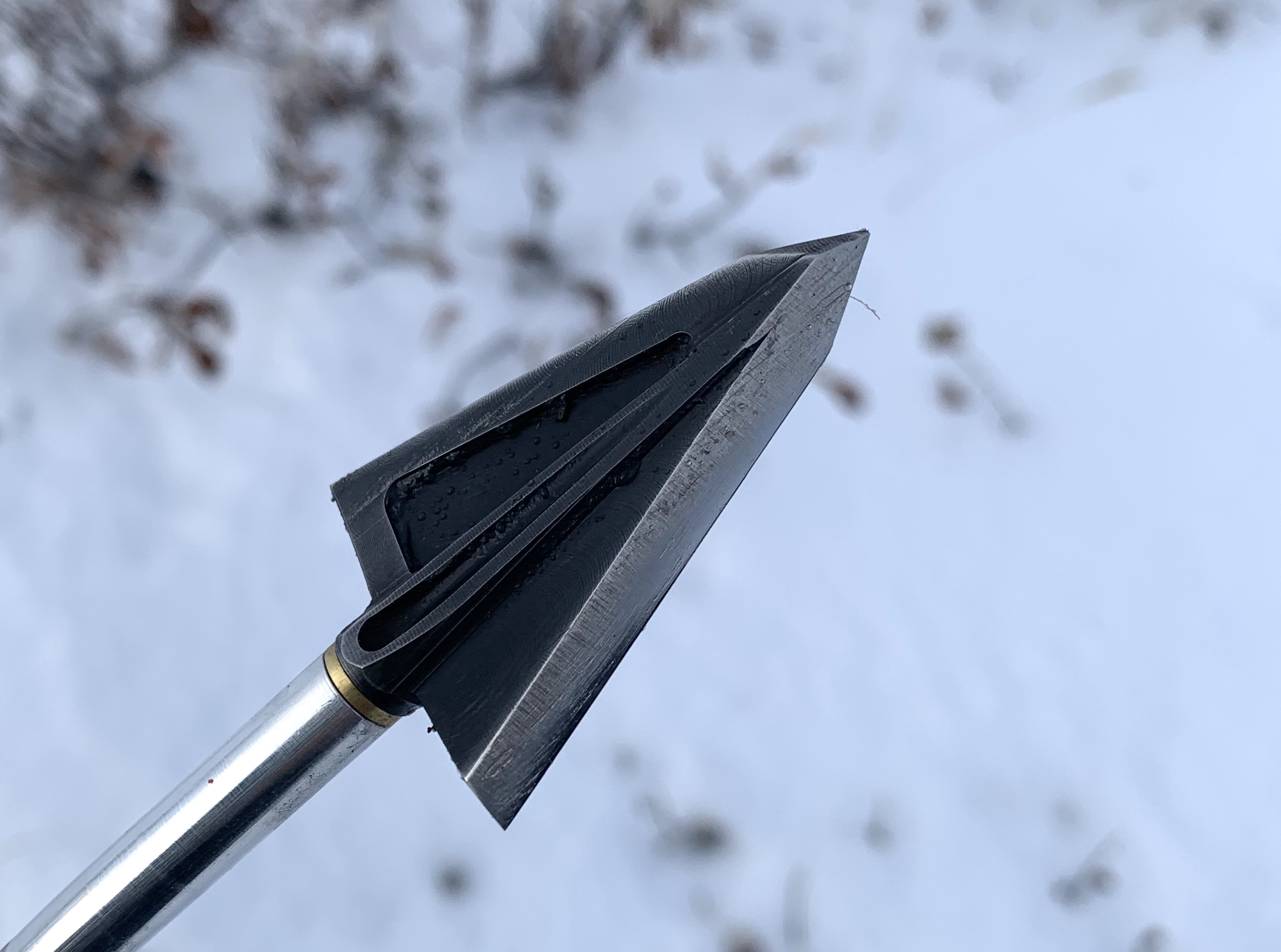 A single bevel broadhead