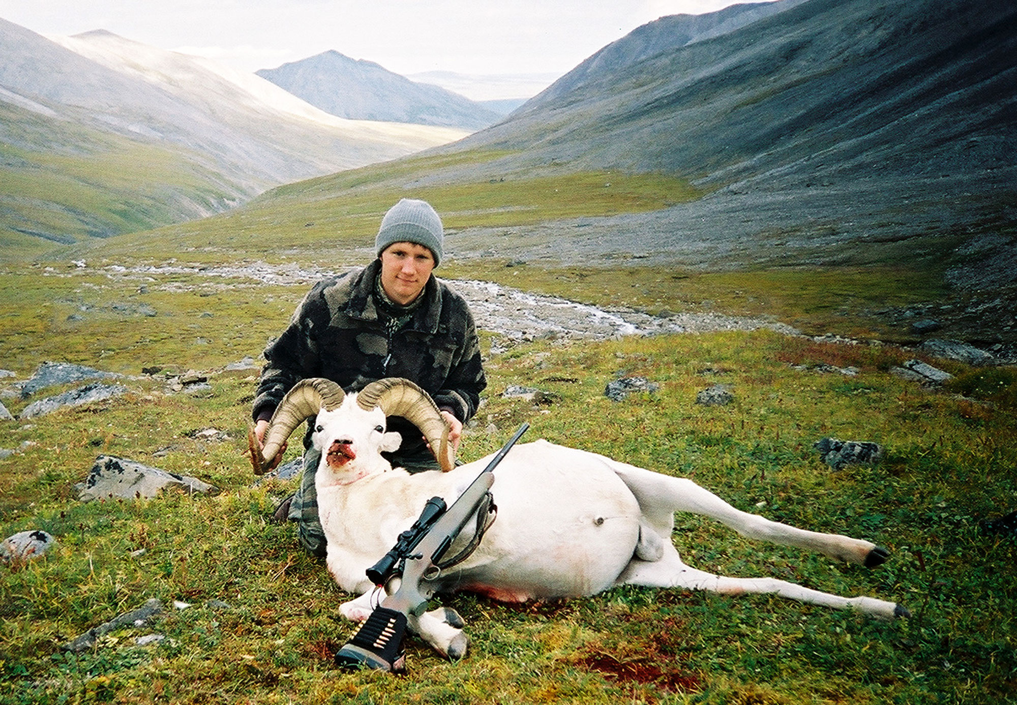 Freel with first dall sheep budget rifle