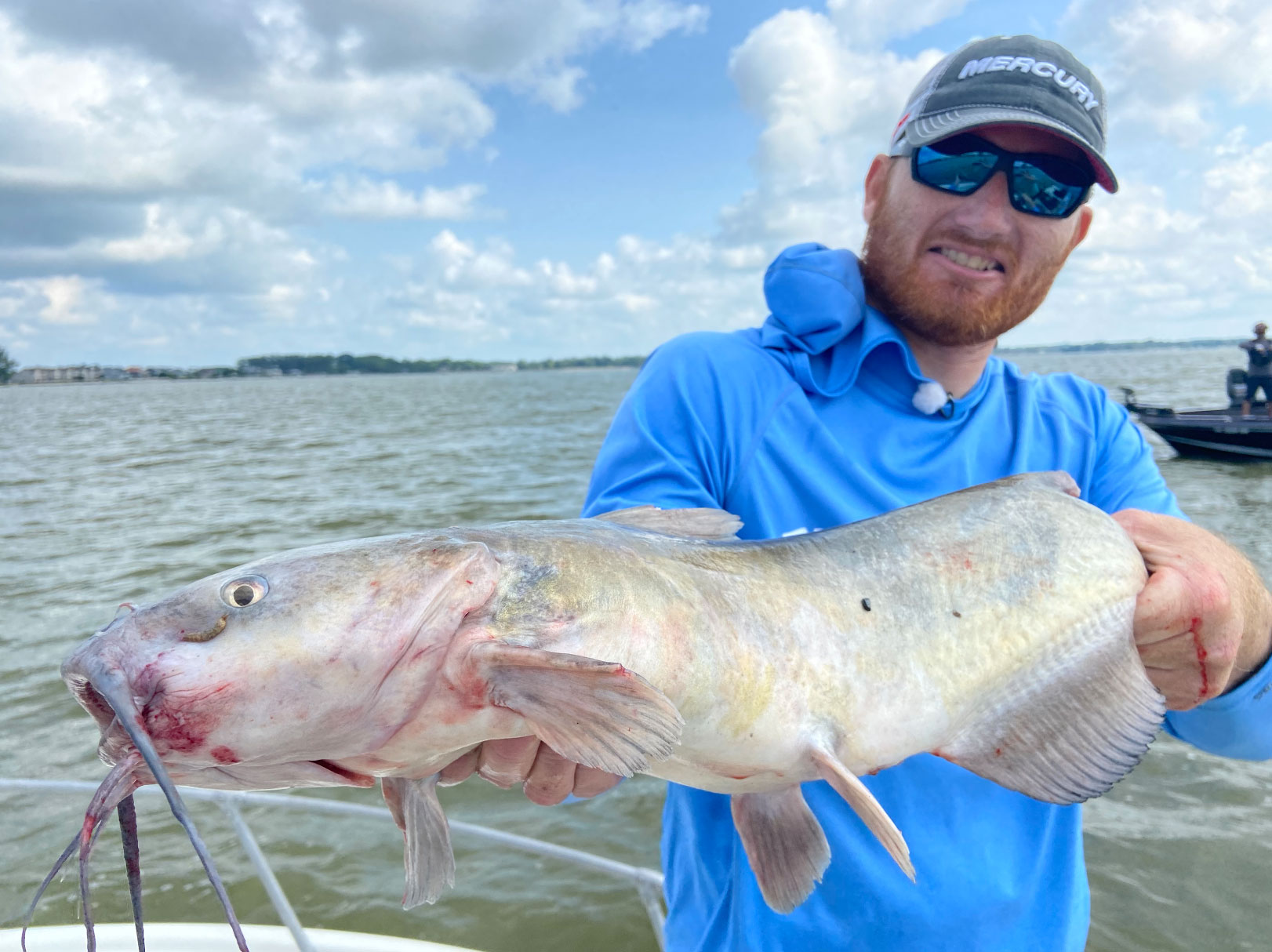 Summertime channel catfish.