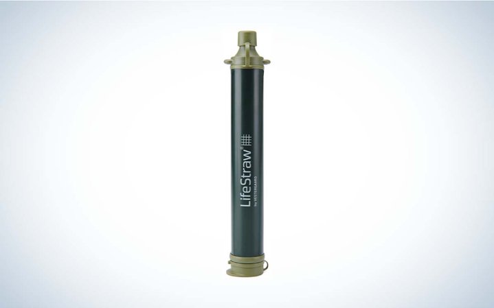 LifeStraw Personal Water Filter