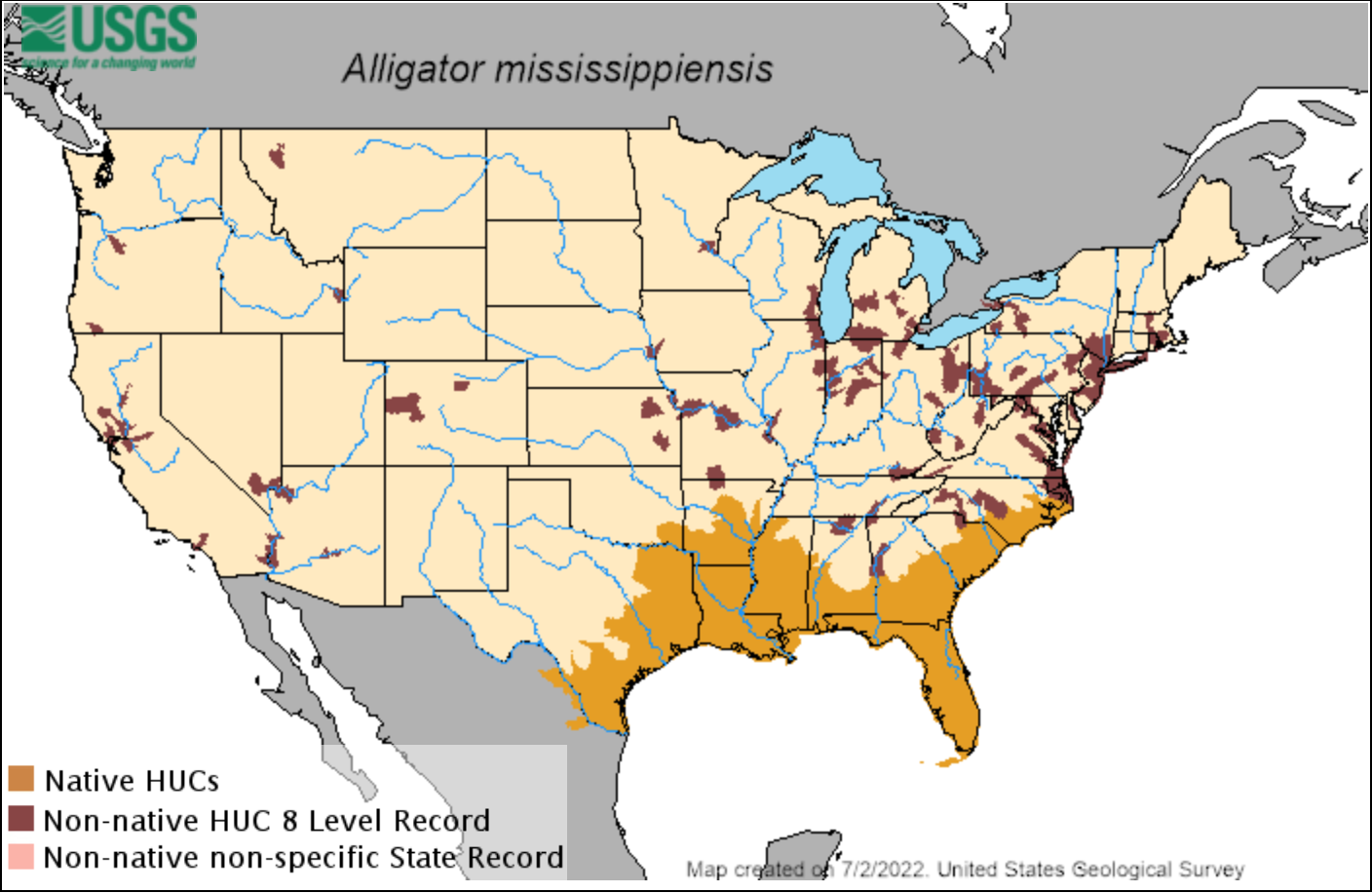 Alligator home range.