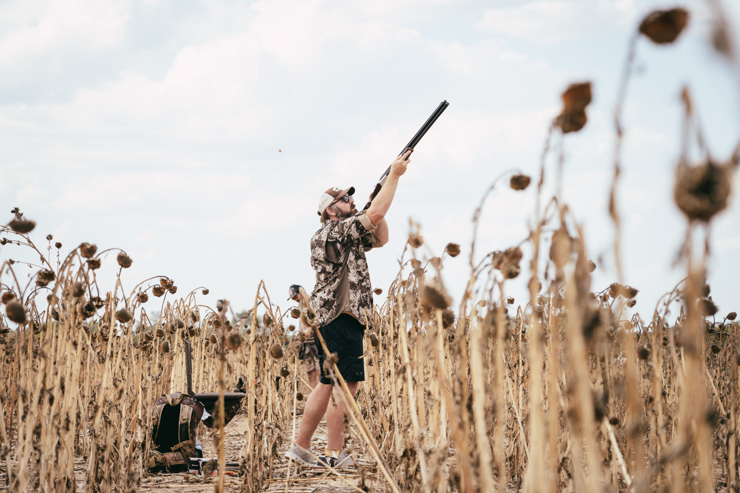 Take more premium shots on the dove opener.