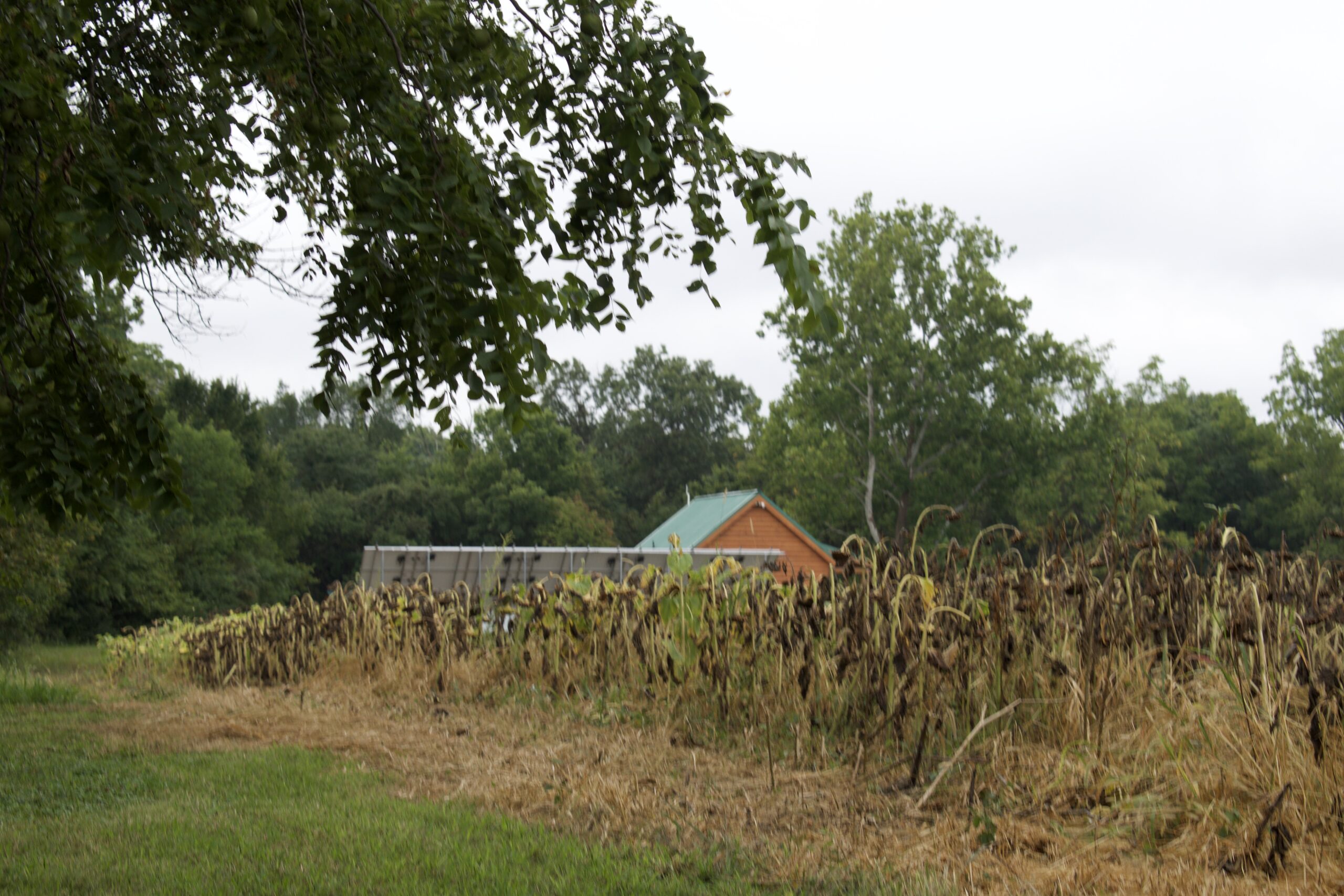 Small fields offer close shots.