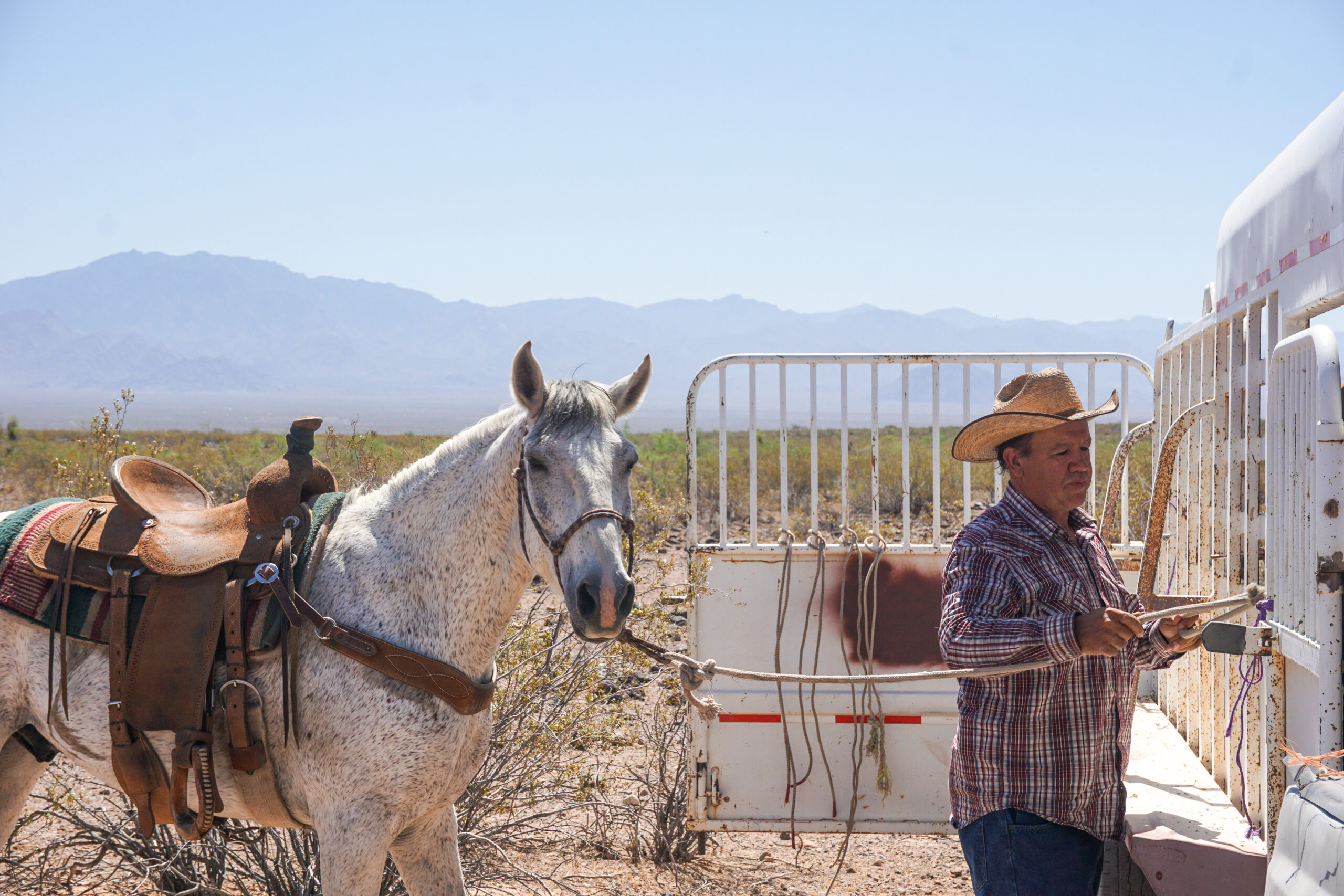 Rancher in northwest Arizona