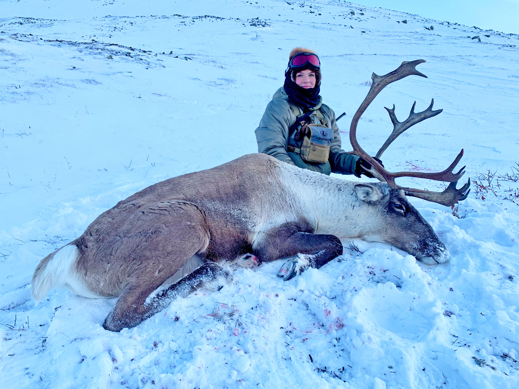 Caribou with Winchester XPR in 6.5 Creedmoor budget rifle