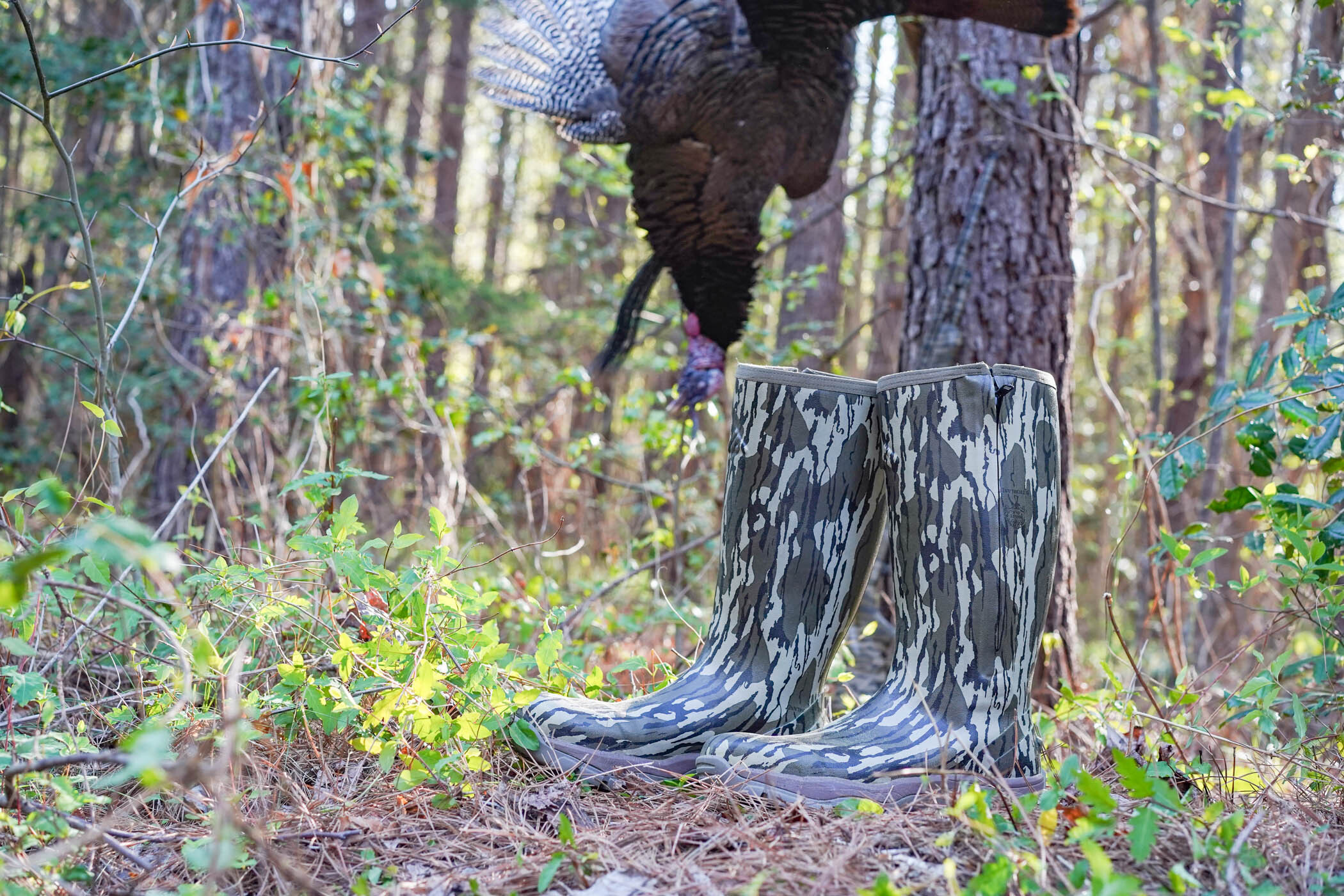 Best Turkey Hunting Boots of 2024 Tested and Reviewed Outdoor Life