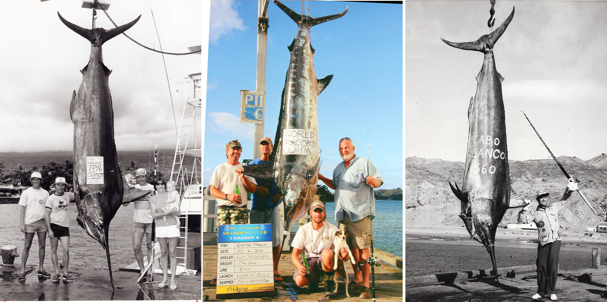 IGFA Pacific Blue Marlin 4-Pound-Test Record