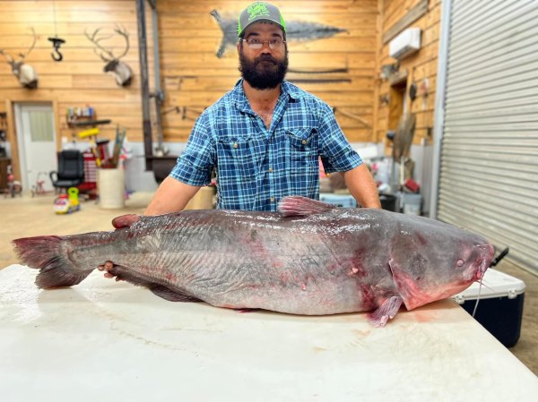 WORLD OUTDOORS: Giant catfish prowl in the Mississippi River