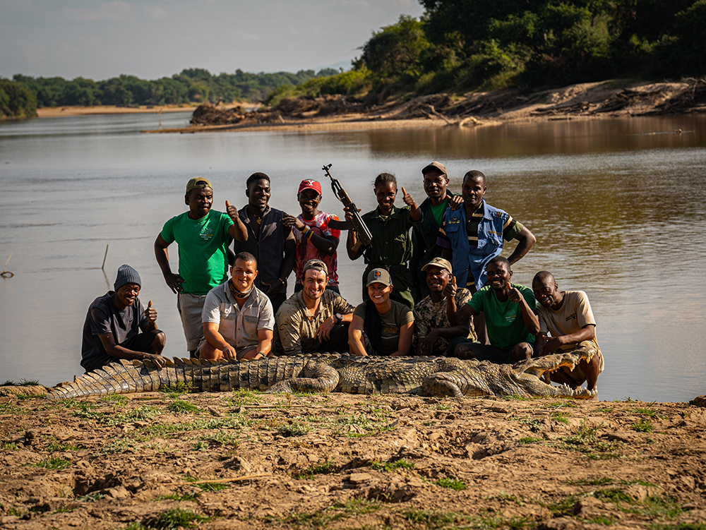 Crocodile hunt