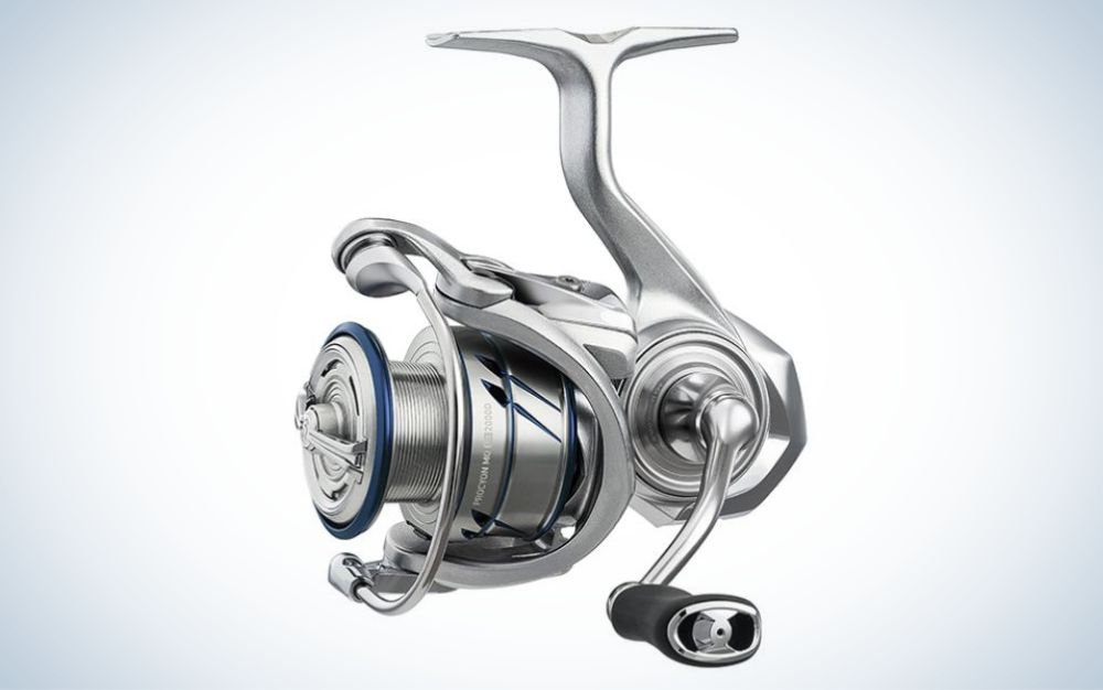 What Spinning Reel Size Is Best For Saltwater Fishing? 
