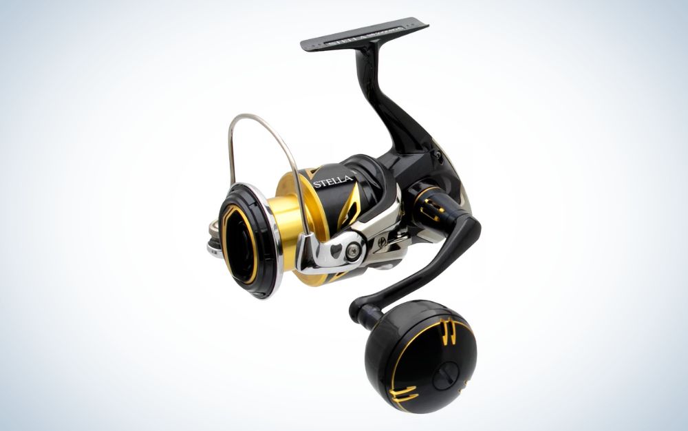 Bigwater 3000 Spinning Combo With Comfort Grip, Fishing, Sports &  Outdoors