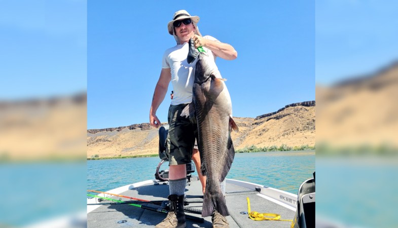 Going Equipped for Big Catfish - Angling Lines Blog 🎣