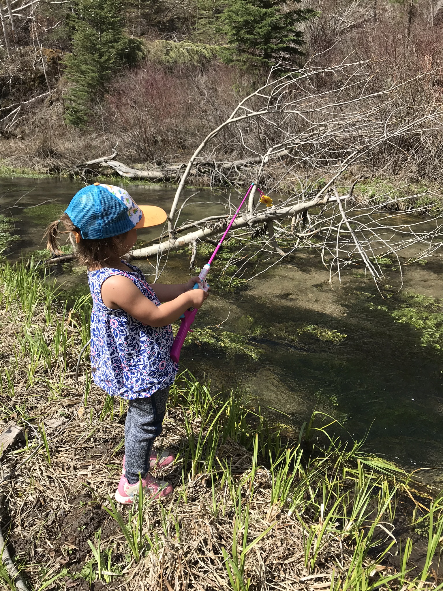 Favorite kids fishing pole! Get outdoors 🎣