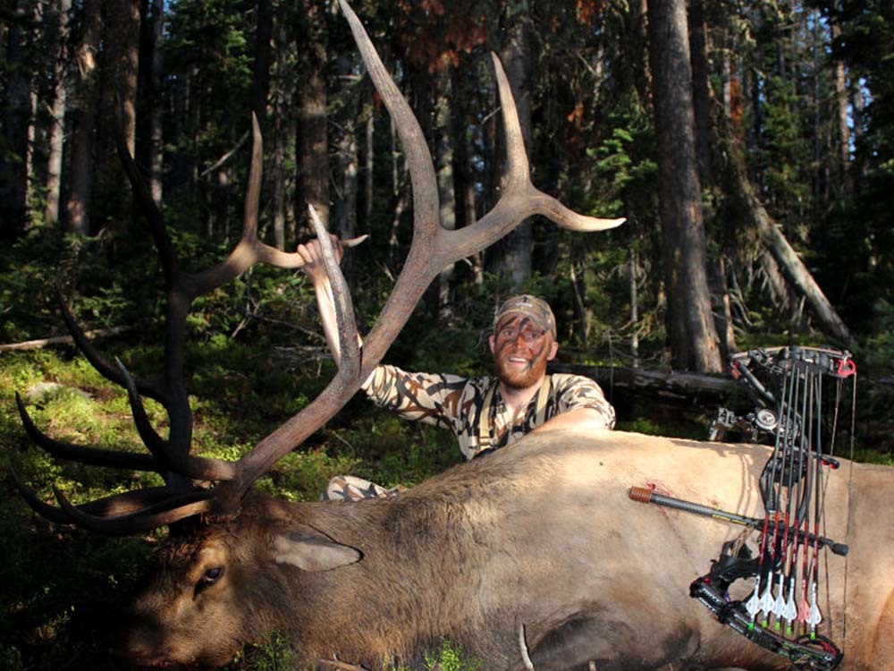 Kody Kellom Bull Elk The Best Elk Calls of 2024, Expert Picks and Sound Files