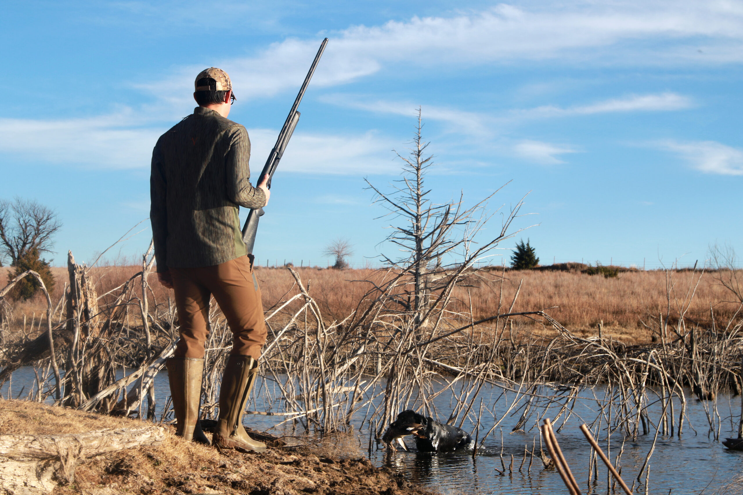 Leasing is an option to get access to ducks.