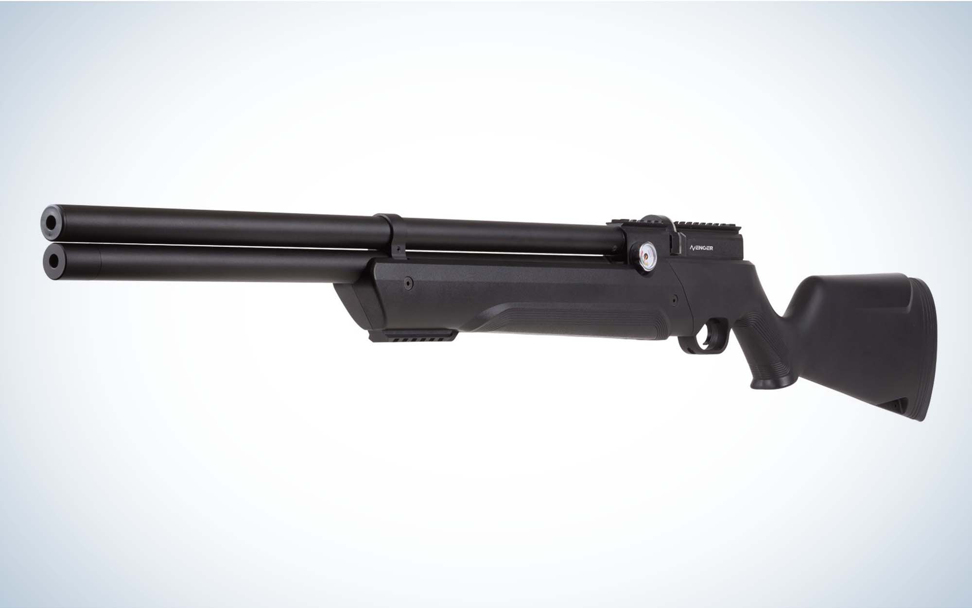 Model 25 Pump BB Gun with Target System .177 Cal BB gun.