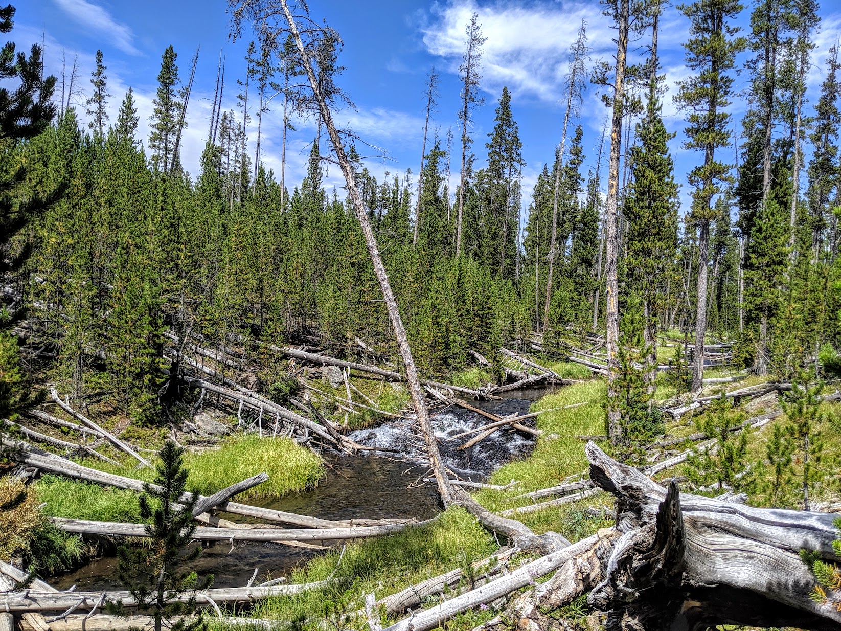 upper gibbon river chris hunt