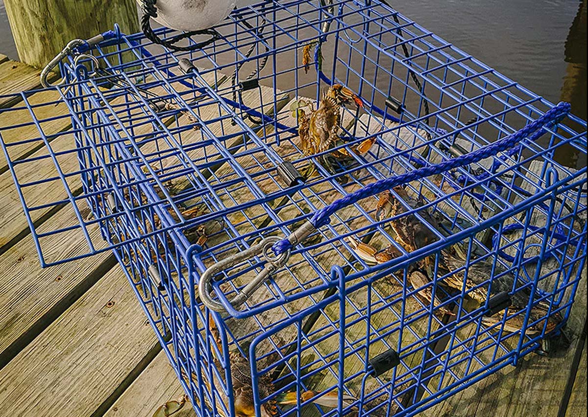 Complete Crab Crabbing Fishing Set With Drop Net Bait Bag & Crabbing Line