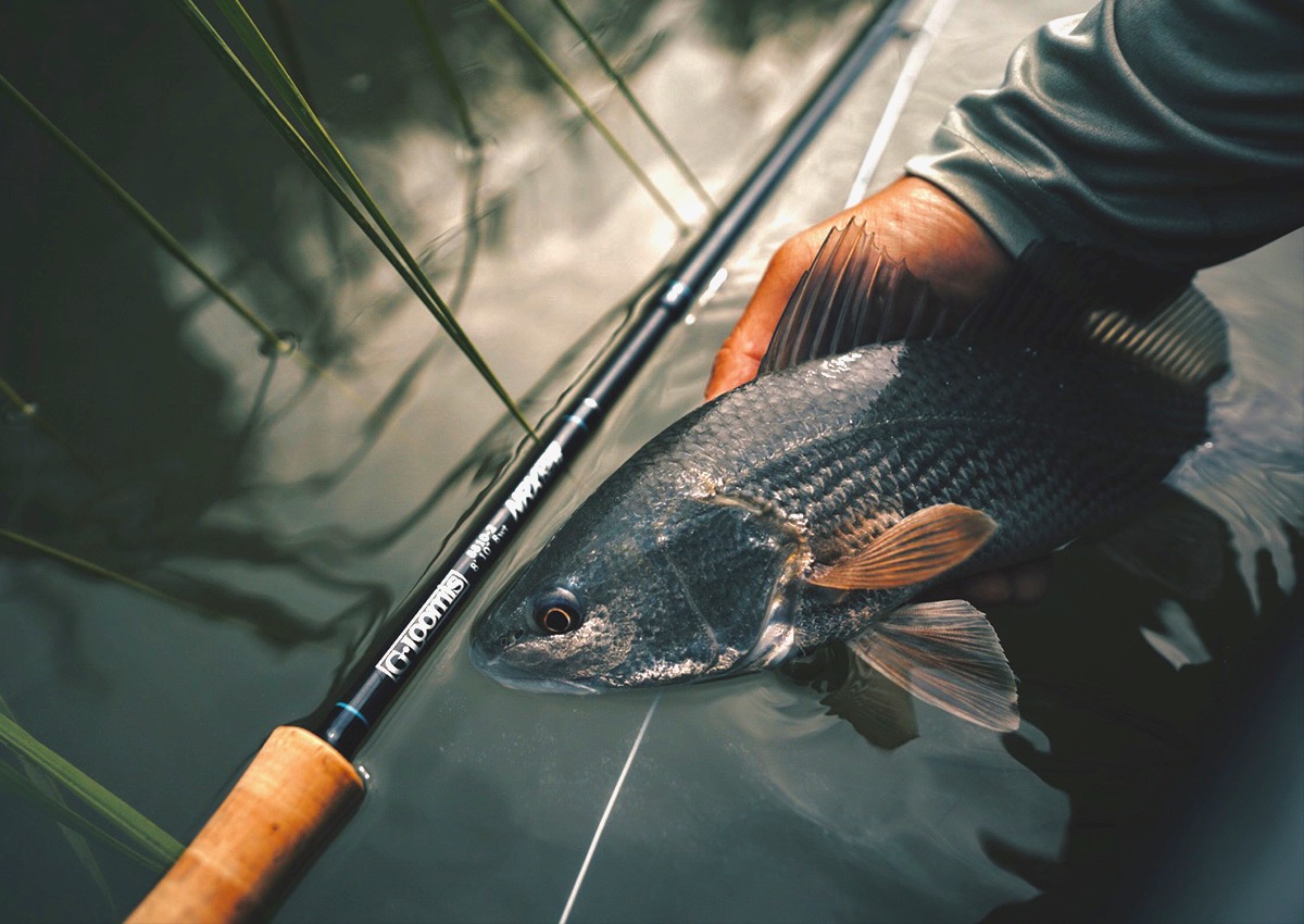 5 Easy Ways to Improve Your Fly Cast