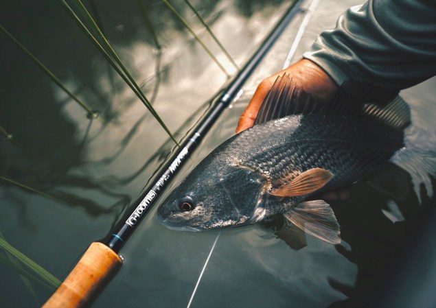 Best Travel Fishing Rods for Out-of-State Fishing Trips