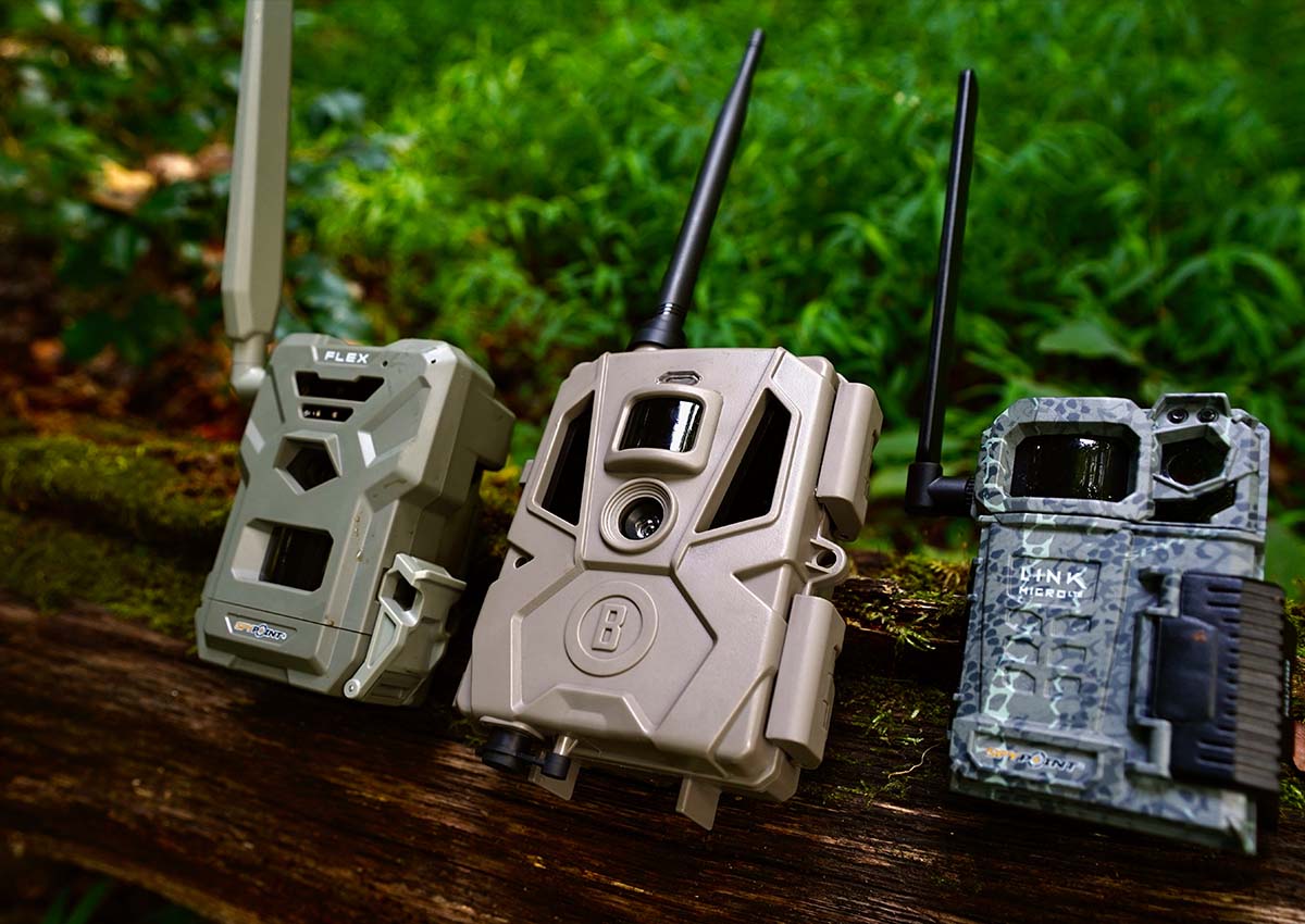Best Budget Trail Cameras of 2023, Tested