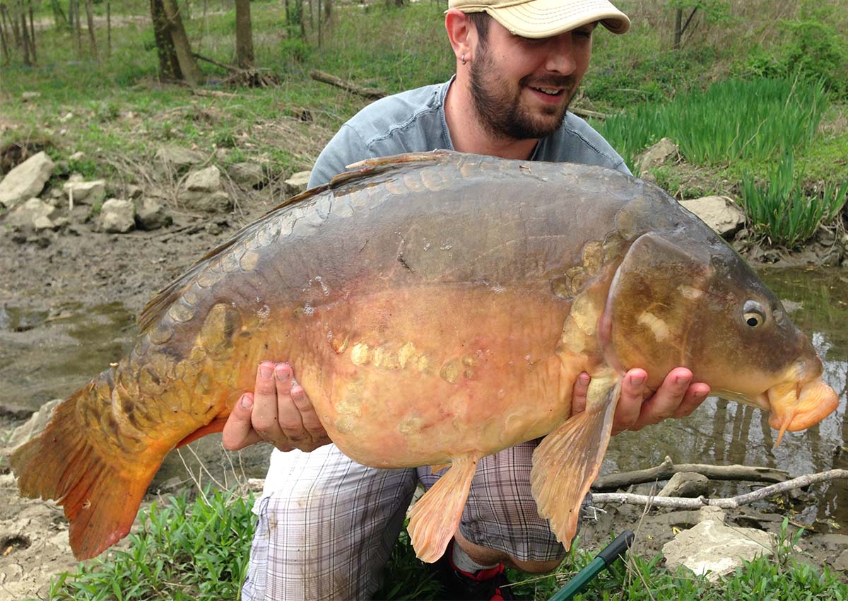 How to catch carp: the best tips for catching big carp