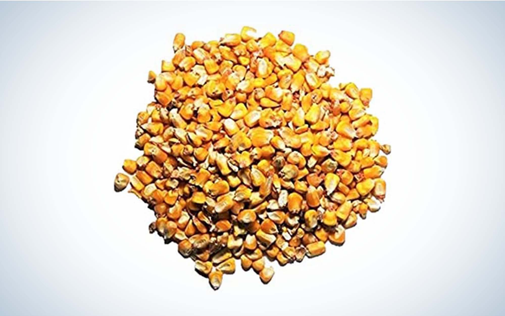 Artificial Baits Corn, Sturdy And Durable Carp Baits Corn