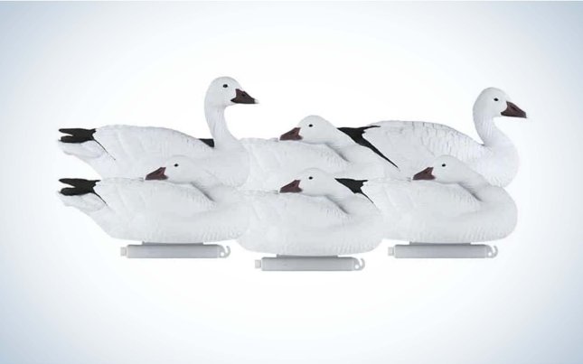 The Dakota Decoys Xtreme are the best floating snow goose decoys.