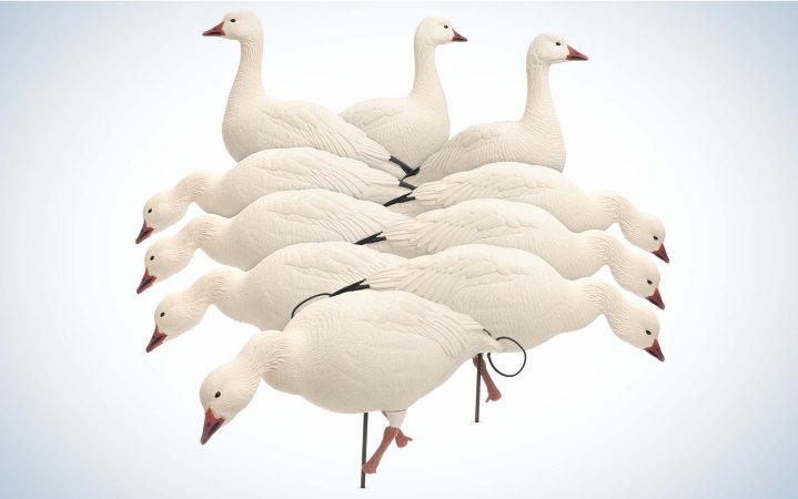  The Dave Smith Decoys are the best overall snow goose decoys.