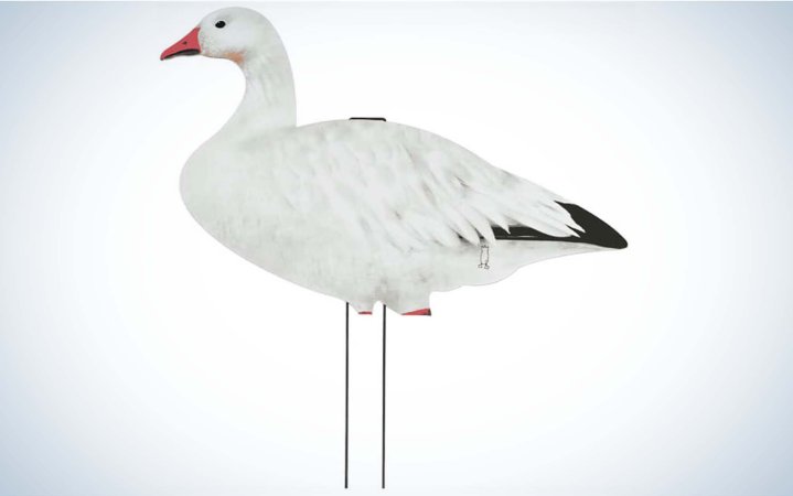  The Dive Bomb Industries V2 Snow Goose Silhouette Decoys are the best silhouette snow goose decoys.