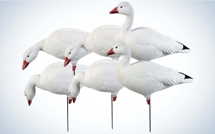  The GHG Pro-Grade are the best snow goose decoys for big spreads.