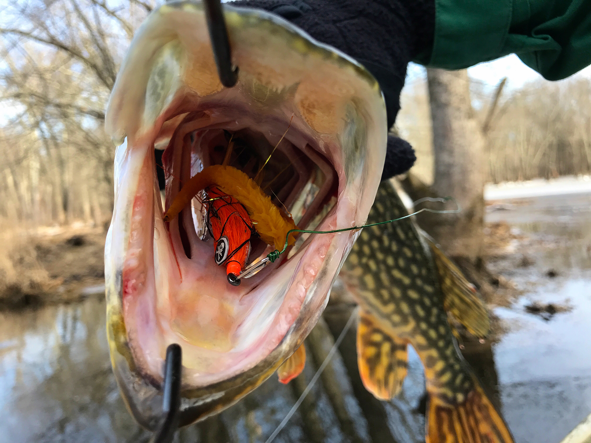 Gar Pike On A Fly - The New Fly Fisher