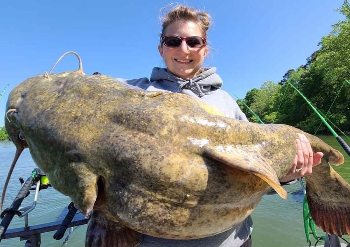 Top 10 Best Catfish Rods for 2024 