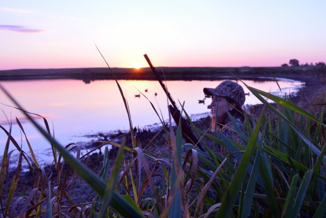 usfws duck hunter