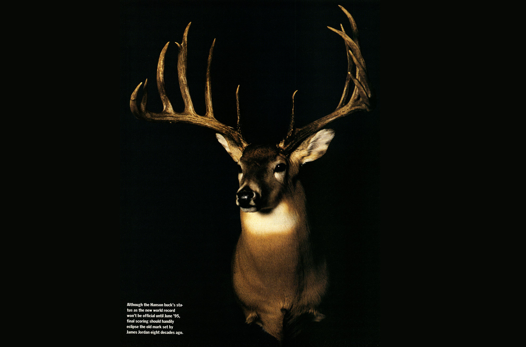 Vintage Texas State Map Art Print Whitetail Deer Hunting Fishing