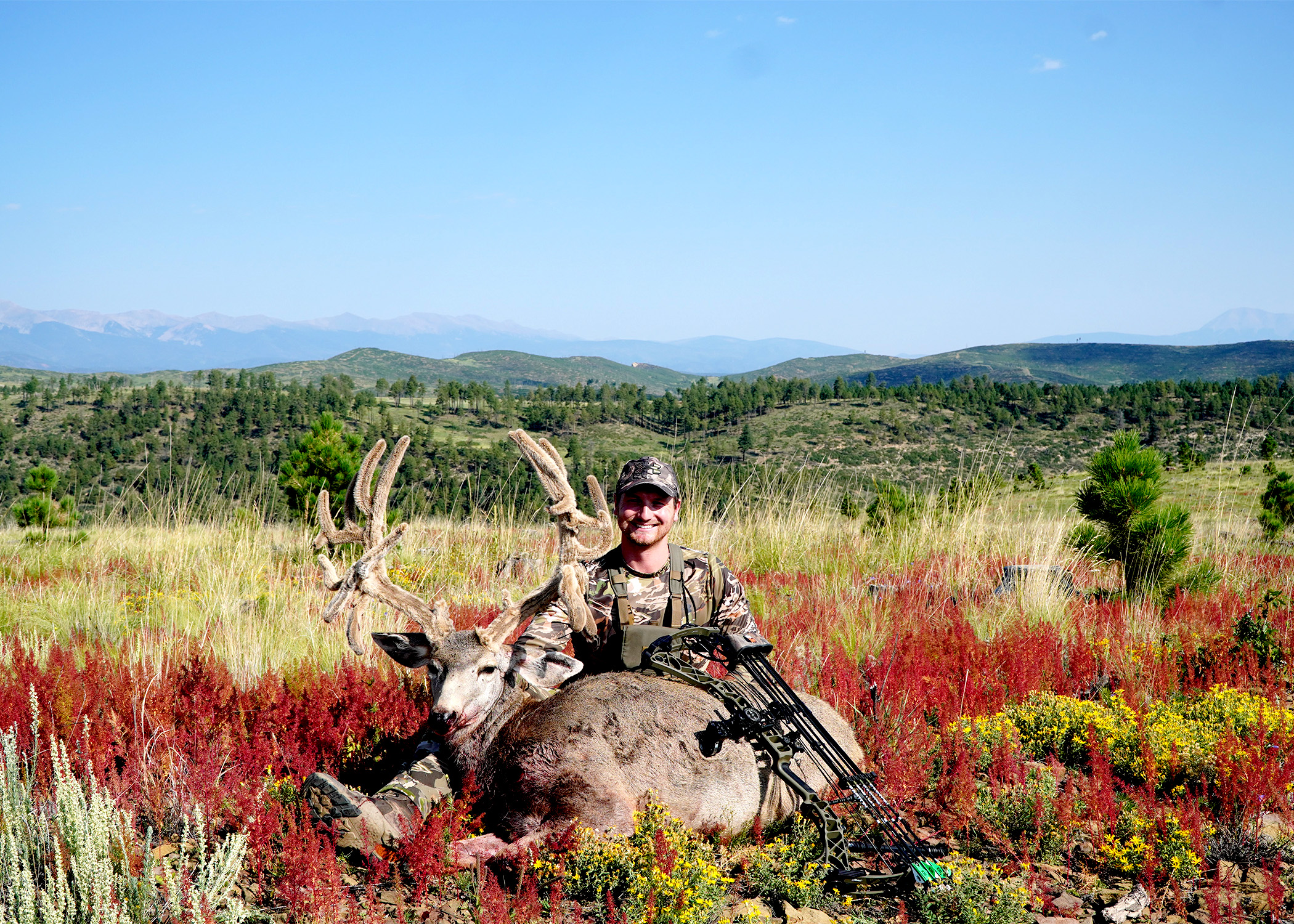 vermejo park muley buck 2