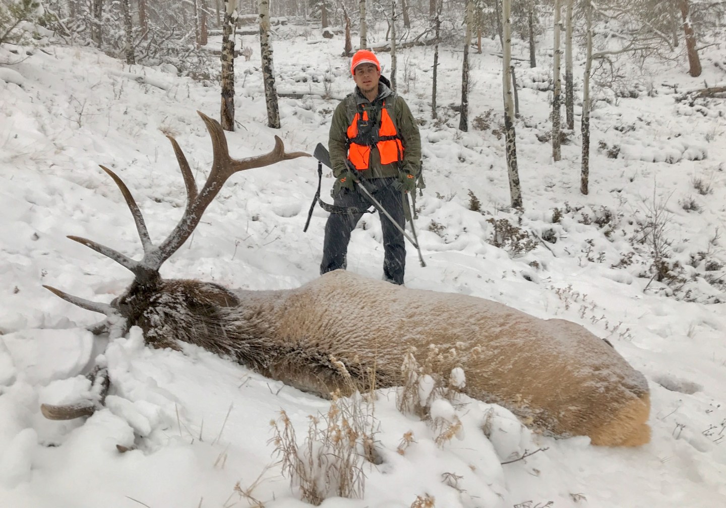 What Rifle Should You Take on Your First Elk Hunt? | Outdoor Life