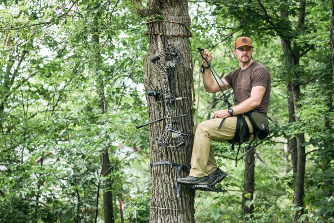 The author tests the best tree saddles