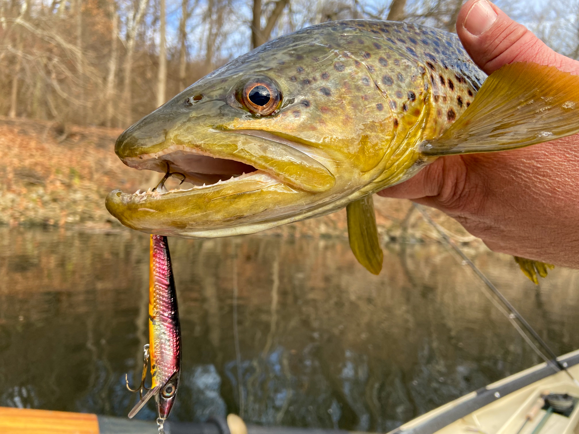 Throwing Big Baits for Big Michigan Trout