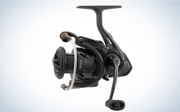 Best Fishing Reels of 2024, Tested and Reviewed