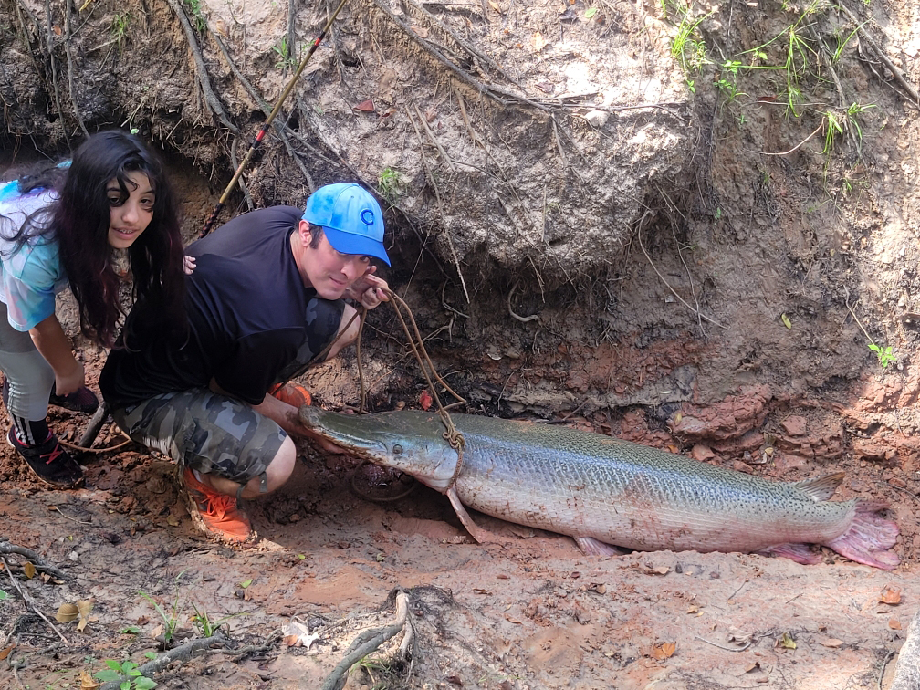 Father and daughter catch a big gator gar.