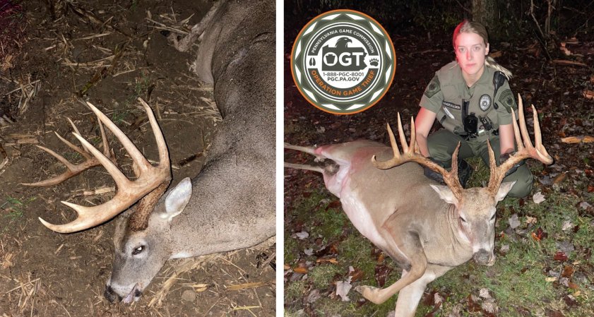 Trophy class buck poached in Pennsylvania.