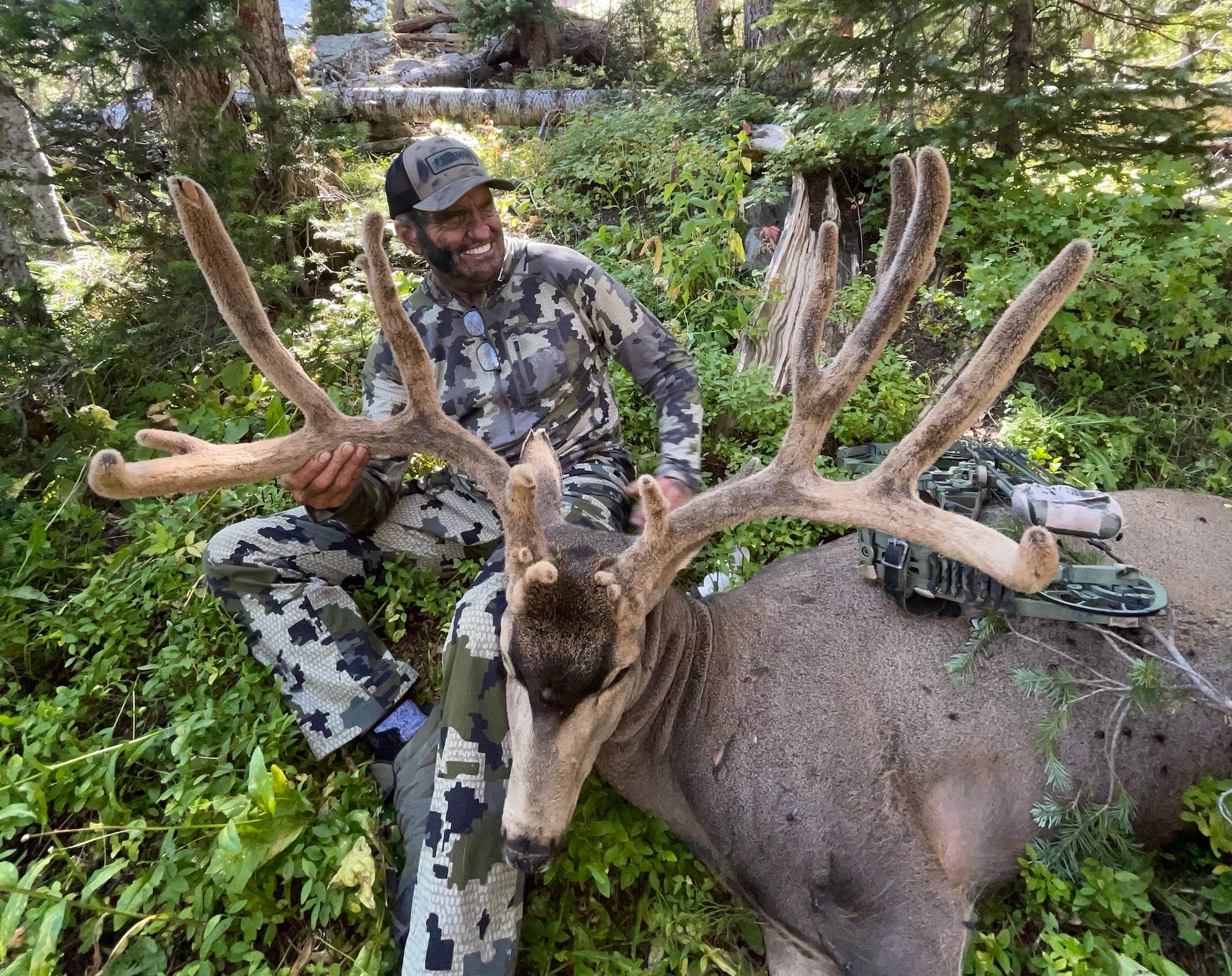 randy ulmer high country muley