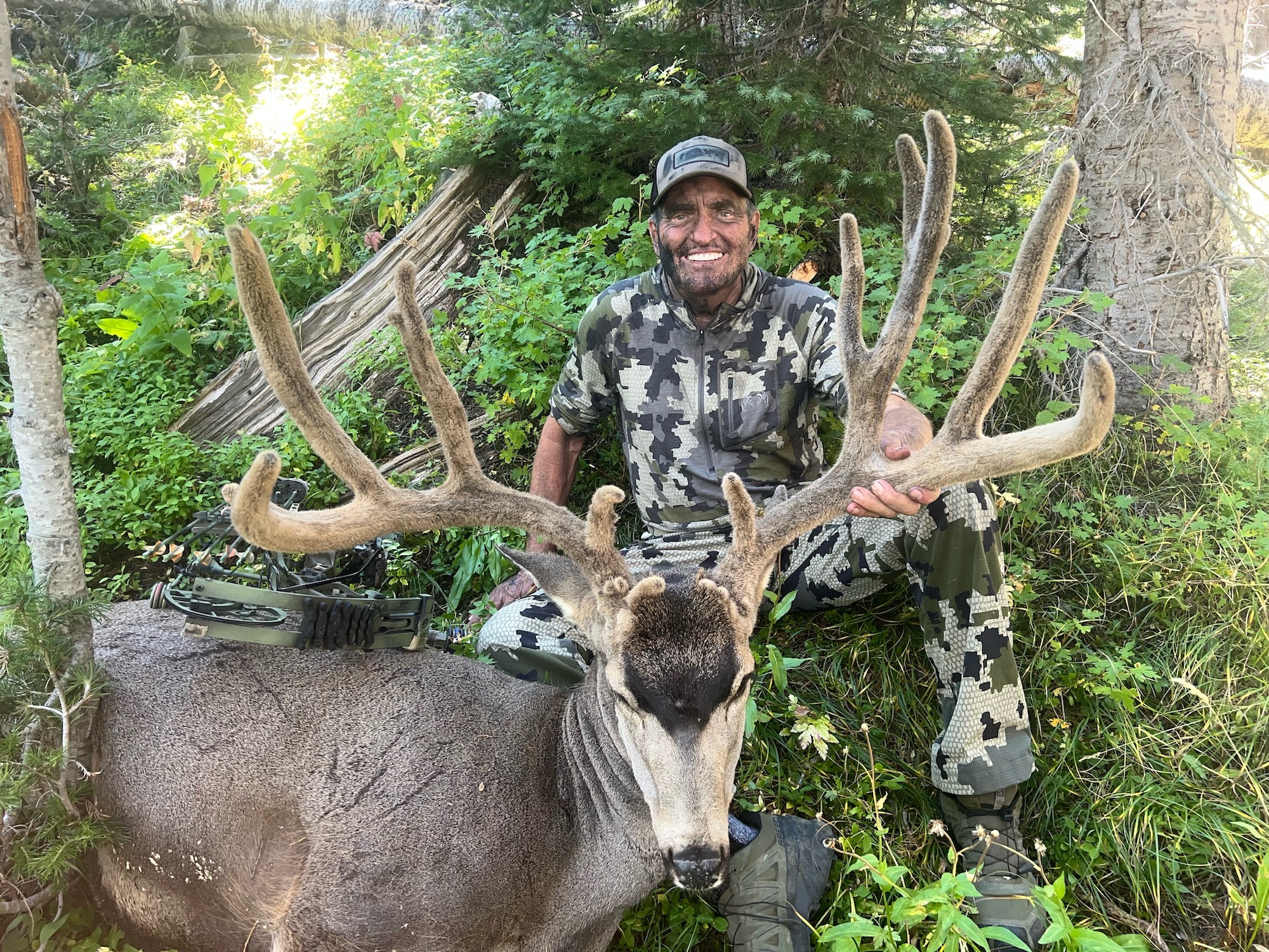 ulmer high country muley